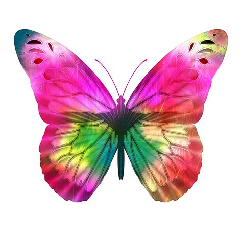 pictures of pink butterflies